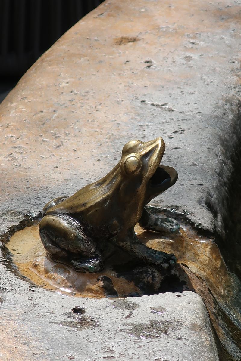 Grenouille en bronze sur une fontaine