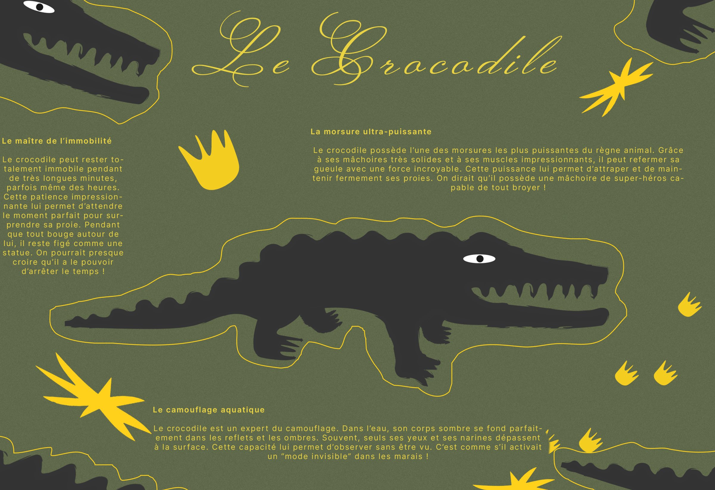 Planche « Le Crocodile » : crocodile néo-naïf et textes documentaires sur fond vert